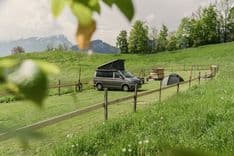 VW California Fan